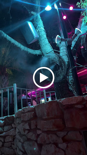 Museum «Guinness World Records Museum», reviews and photos, 329 Alamo Plaza, San Antonio, TX 78205, USA