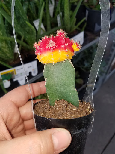 Home Improvement Store «The Home Depot», reviews and photos, 40 Park Pl Dr, Covington, LA 70433, USA