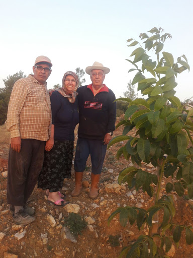 Yaşar Ceviz Çiftliği