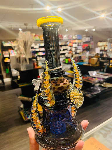 Tobacco Shop «Kush Cloud Smoke Shop», reviews and photos, 2118 W Busch Blvd, Tampa, FL 33612, USA