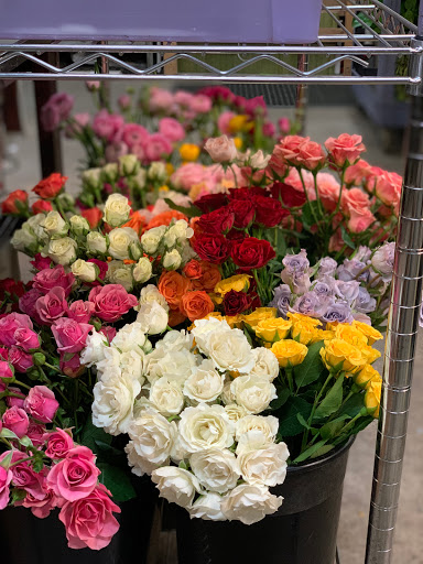 Florist «Posh Petals», reviews and photos, 1134 E 54th St A, Indianapolis, IN 46220, USA