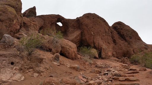 Botanical Garden «Desert Botanical Garden», reviews and photos, 1201 N Galvin Pkwy, Phoenix, AZ 85008, USA