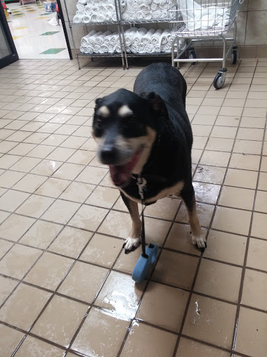 Pet Supply Store «Pet Supplies Plus», reviews and photos, 4100 Legacy Dr Suite 402, Plano, TX 75024, USA