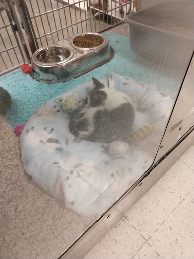 Pet Supply Store «PetSmart», reviews and photos, 30515 Av. de Las Flores, Rancho Santa Margarita, CA 92688, USA