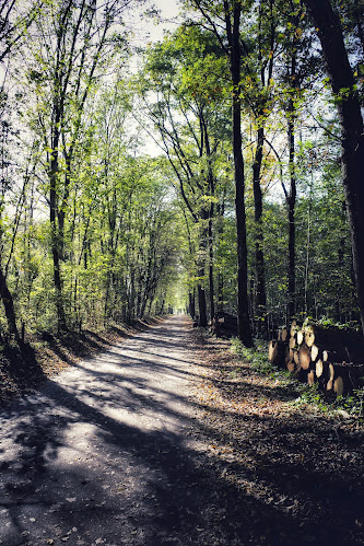 Kommentare und Rezensionen über Landschaftspark Wiese