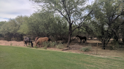 Golf Course «Talking Stick Golf Club», reviews and photos, 9998 E Indian Bend Rd, Scottsdale, AZ 85256, USA