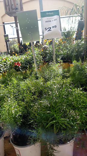 Hardware Store «Orchard Supply Hardware», reviews and photos, 2322 N University Dr, Coral Springs, FL 33065, USA