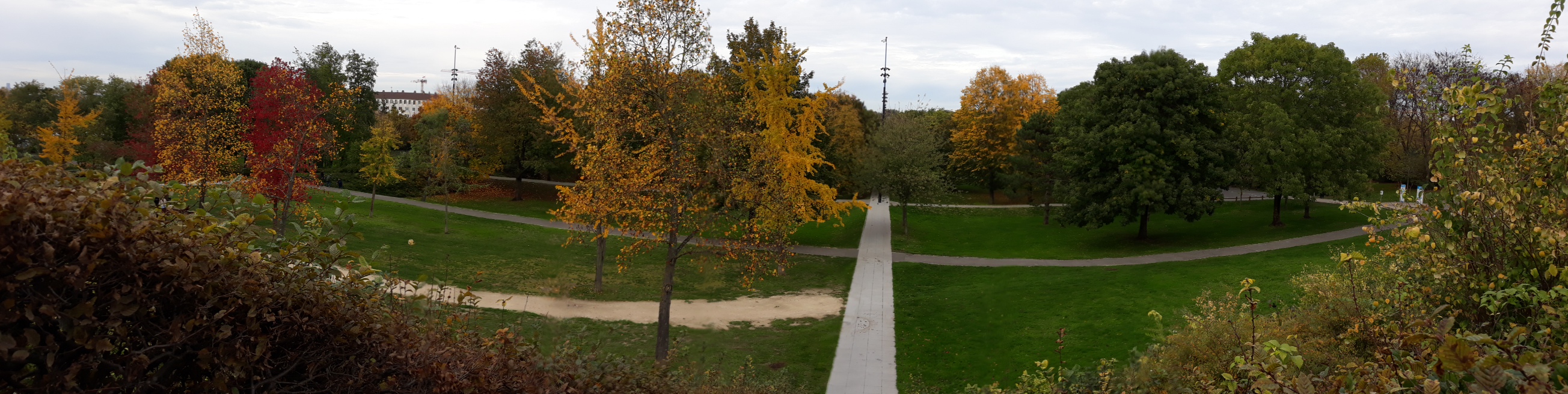 Photo n° 10 de l'avis de Ninfa. fait le 18/11/2019 à 18:40