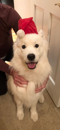 Auto Insurance Agency «Michelle Twitchell - State Farm Insurance Agent», reviews and photos