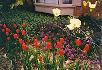 Lothrop's Landscape - Photo 8 - Car repair in , Mesquite