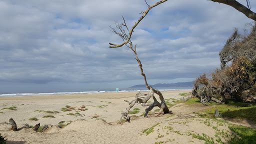 Shopping Mall «Pismo Coast Shopping Plaza», reviews and photos, 555 5 Cities Dr, Pismo Beach, CA 93449, USA