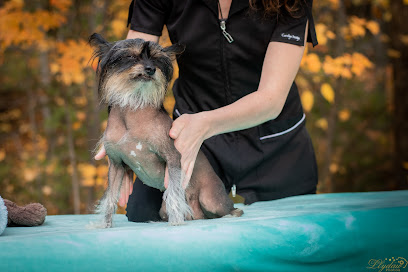 Lexie, Centre bien-être canin