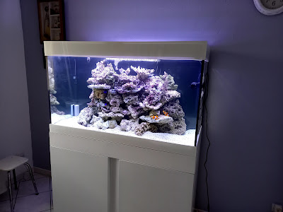 aquarium passion service à Antully