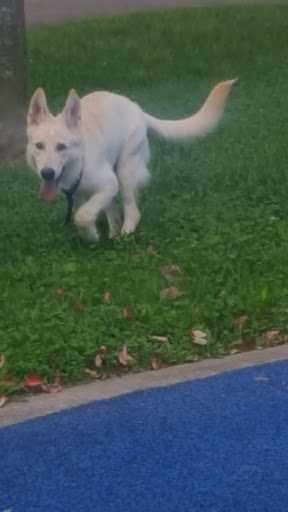 Park «Archmere Park», reviews and photos, 4117 Oak Park Ave, Cleveland, OH 44109, USA