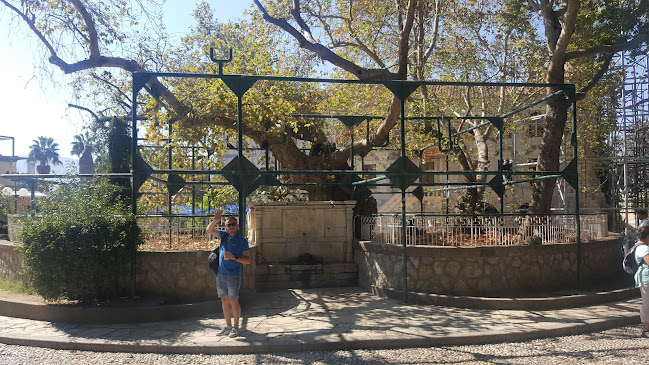 Κατρας Οπτικα