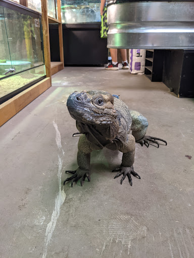 Reptile Store «Pets & Things», reviews and photos, 44825 Van Dyke, Utica, MI 48317, USA