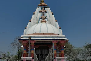 Shoolpaneshwar Mahadev temple image