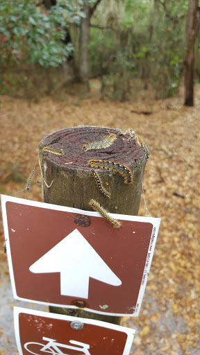 Nature Preserve «Marshall Hampton Reserve», reviews and photos, 3115 Thornhill Rd, Winter Haven, FL 33880, USA