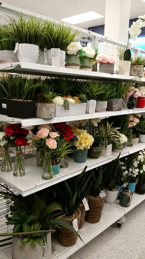 Clothing Store «Ross Dress for Less», reviews and photos, 628 Palomar St, Chula Vista, CA 91911, USA