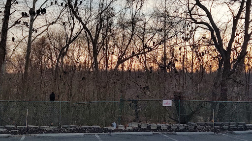 Supermarket «Weis Markets», reviews and photos, 5715 Crain Hwy, Upper Marlboro, MD 20772, USA