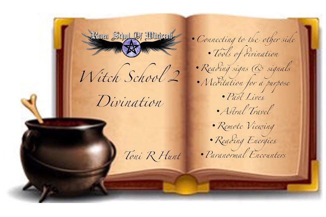 Raven School of Witchcraft - Financial Consultant