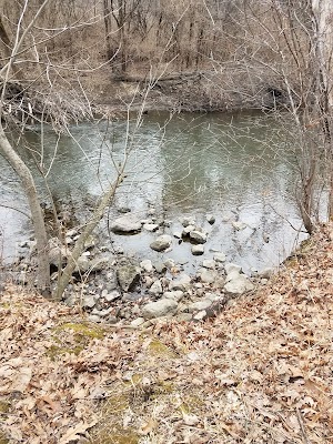 Wolf Road Prairie - photo 37
