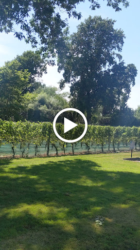 Vineyard «Duck Walk Vineyard», reviews and photos, 231 Montauk Hwy, Water Mill, NY 11976, USA