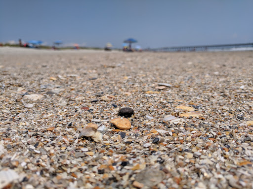 State Park «Myrtle Beach State Park», reviews and photos, 4401 S Kings Hwy, Myrtle Beach, SC 29575, USA