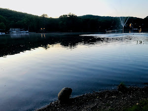 Crystal Lake Community Beach