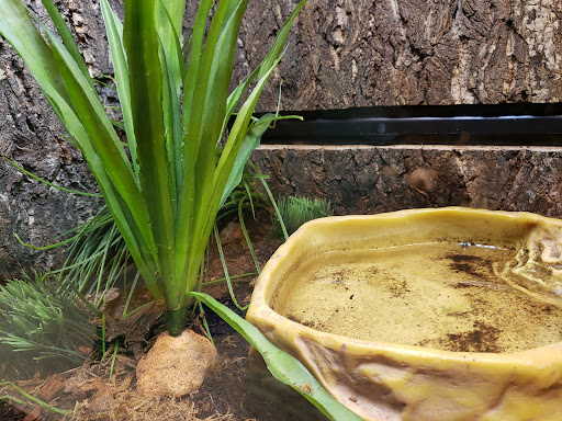 Zoo «Lake Superior Zoo», reviews and photos, 7210 Fremont St, Duluth, MN 55807, USA