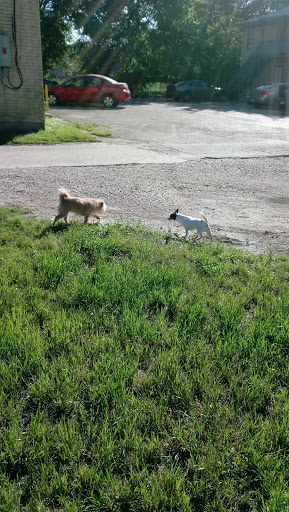 Park «Buckner Park», reviews and photos, 4550 Worth St, Dallas, TX 75246, USA