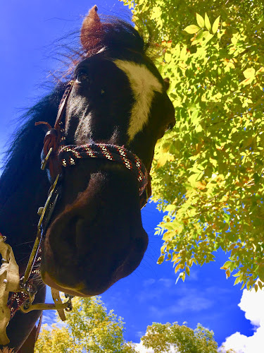 Alquiler de caballos "El Rancho Criadero" - Paute