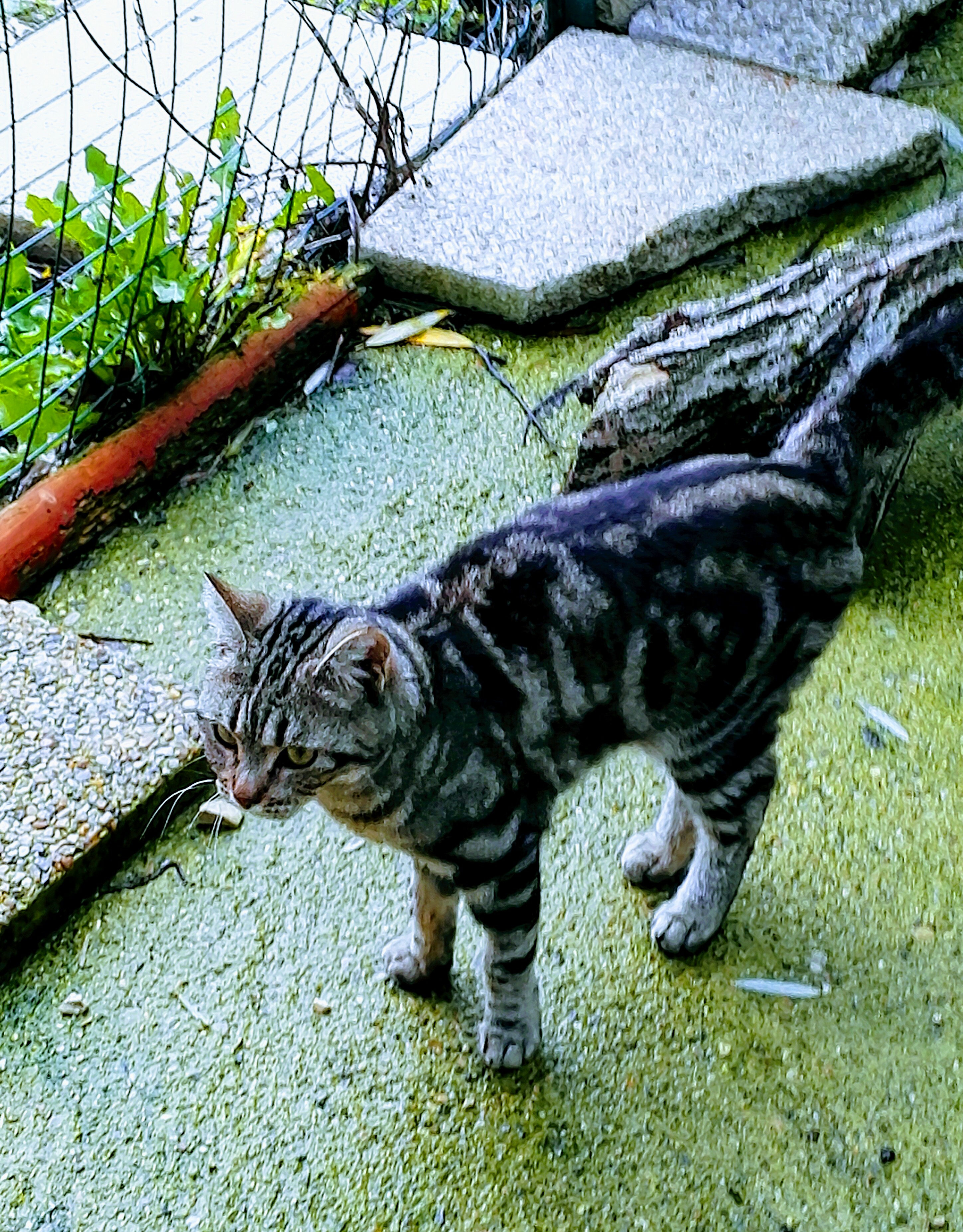 Photo n° 5 de l'avis de Albert.E fait le 01/05/2018 à 04:02