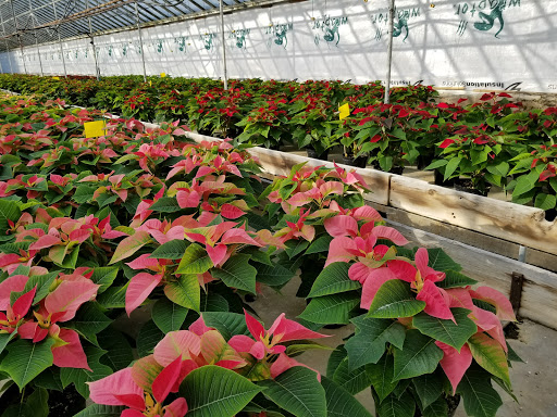 Florist «La Crosse Floral», reviews and photos, 2900 Floral Ln, La Crosse, WI 54601, USA