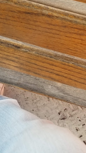 Amusement Park «Bowcraft», reviews and photos, 2545 US-22, Scotch Plains, NJ 07076, USA