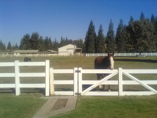 Valley Tree Ranch