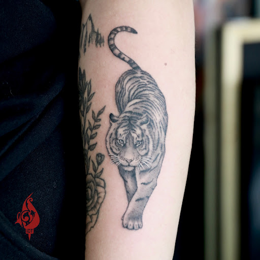 Explore dragonball tattoo ideas, creative tattoo ideas in Long Beach, available at Inky Dreams Tattoo