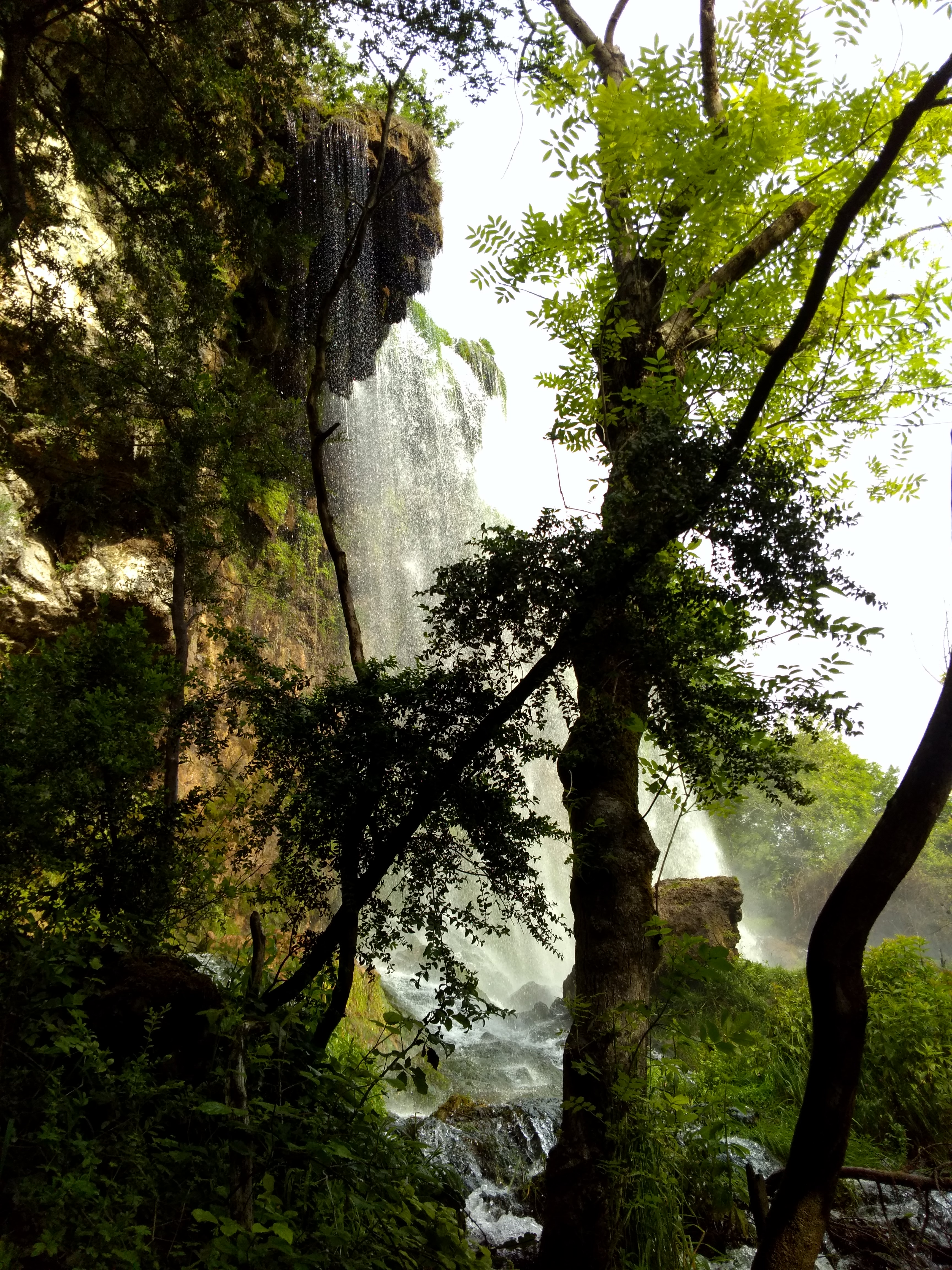 Photo n° 2 de l'avis de Thierry.v fait le 27/06/2018 à 10:34