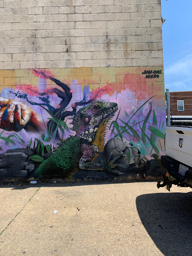 Supermarket «Northeast Supermarket», reviews and photos, 1201 Mt Olivet Rd NE, Washington, DC 20002, USA