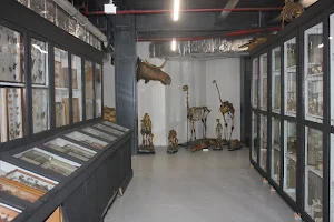 Istanbul Univ. Biology Museum image