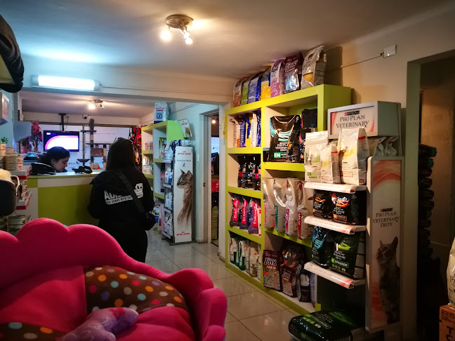 Opiniones de Petit tienda de mascotas en Antofagasta - Veterinario