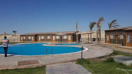 لايف ستايل