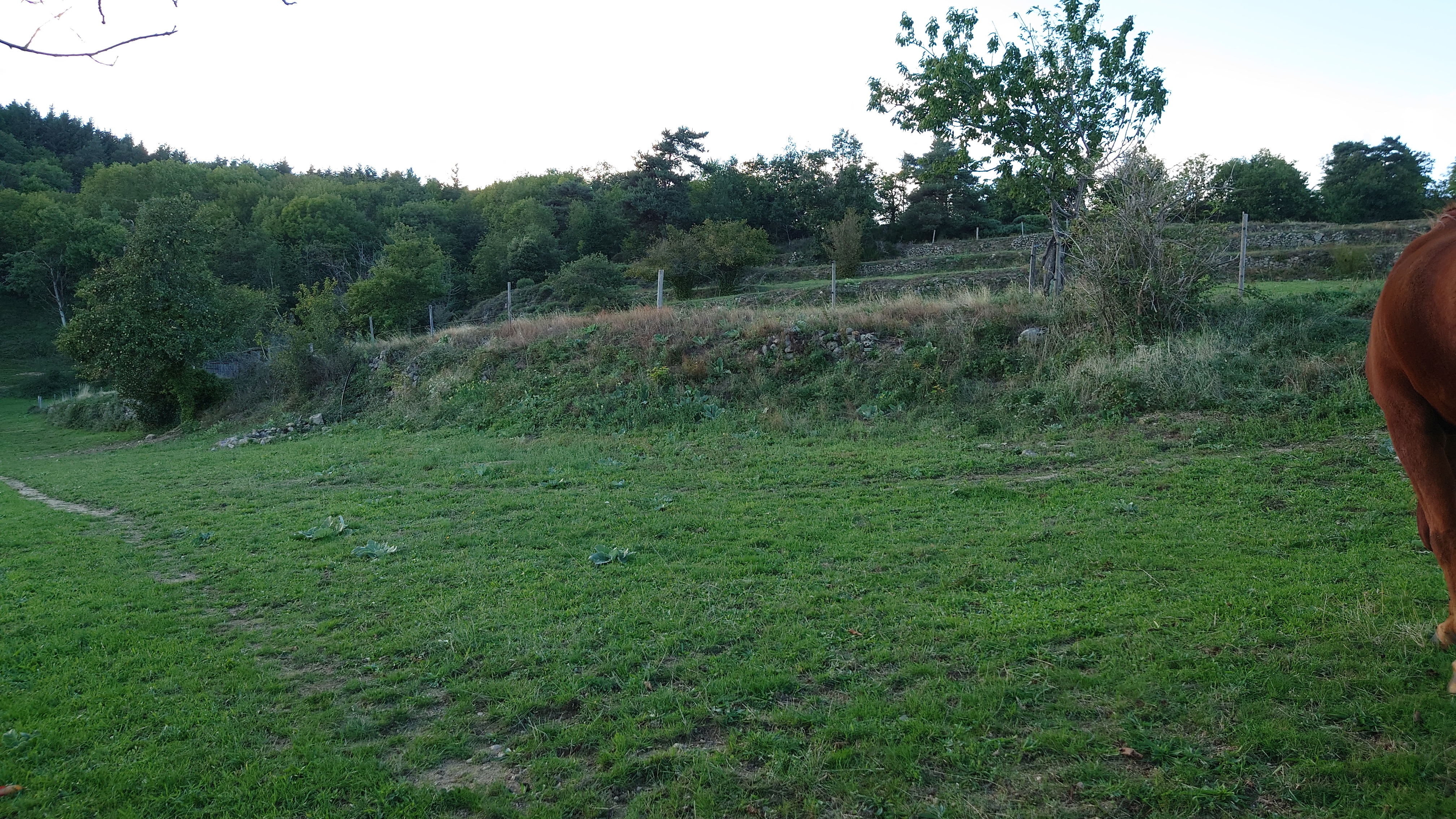 Photo n° 3 de l'avis de guillaume.o fait le 18/09/2022 à 18:35