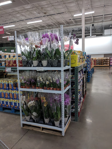 Warehouse club «BJ’s Wholesale Club», reviews and photos, 3985 Plank Rd, Fredericksburg, VA 22407, USA