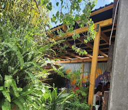 Antes Meridiano photo