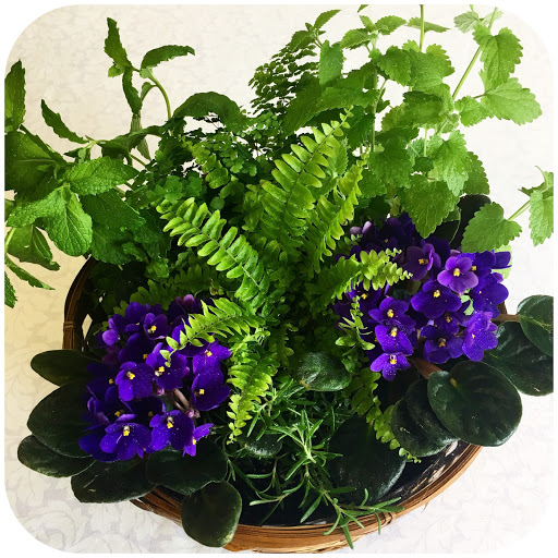 Gift Shop «Petal Patch», reviews and photos, 29955 SW Boones Ferry Rd, Wilsonville, OR 97070, USA