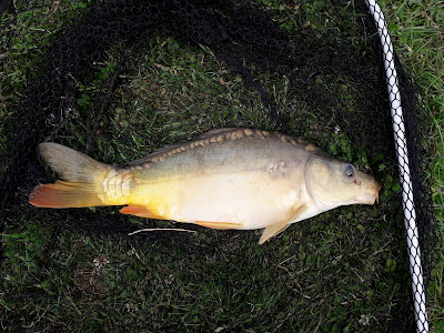 Etang des Orbidas à Levroux