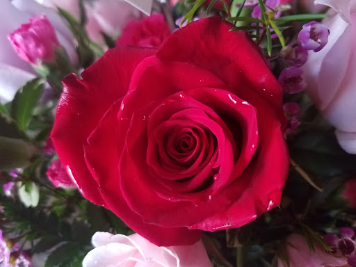 Florist «Designs by Diedrich II», reviews and photos, 1948 Essington Rd # A, Joliet, IL 60435, USA