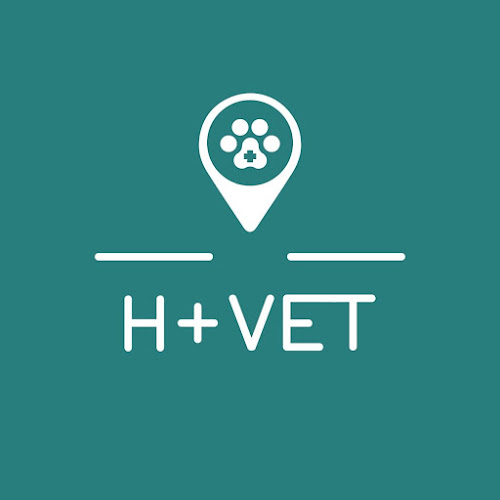 H+VET Cheb, MVDr. Michal Houtke - Veterinář