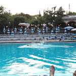 Photo n°3 de l'avis de paolo.r fait le 19/07/2017 à 05:51 sur le  Trasqua Chianti Restaurant & Pools à Castellina in Chianti